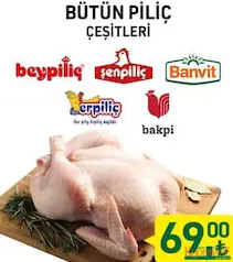 BEYPİLİÇ/ŞENPİLİÇ/BANVİT/ERPİLİÇ/BAKPİ BÜTÜN PİLİÇ/TAVUK ÇEŞİTLERİ